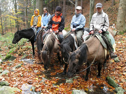 Dvoudenn vprava do okol Lys hory