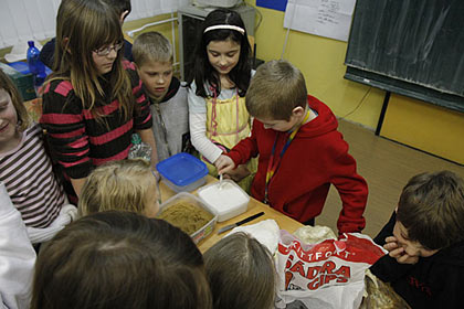 Velk elmy v Beskydech