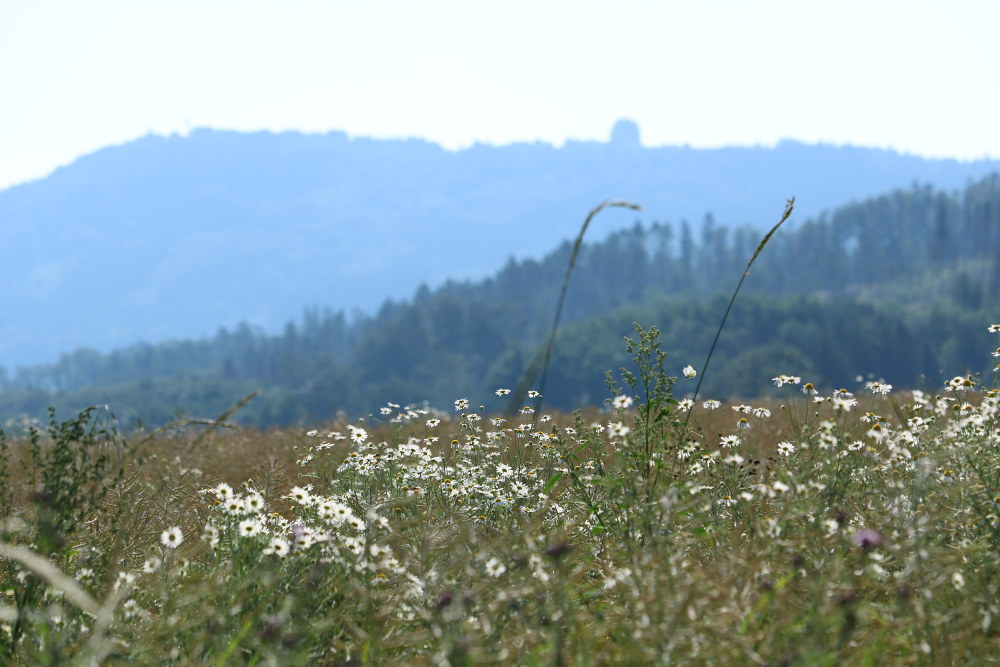 Vlet do Hostnskch vrch