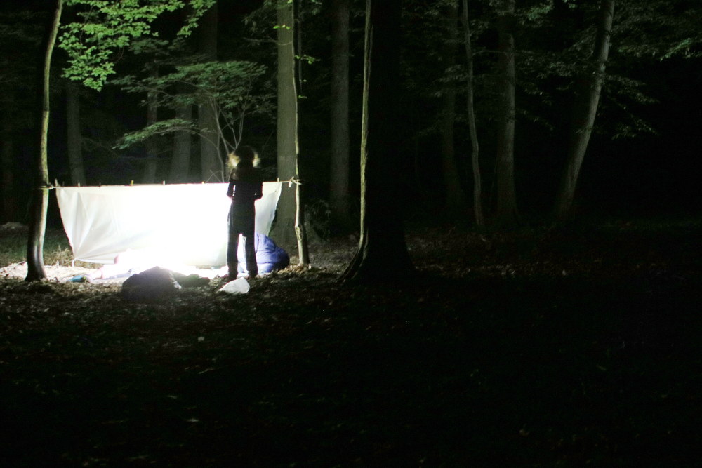 Vlet do Hostnskch vrch