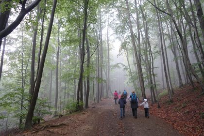Vlap k vro zaloen Sedmikrsky