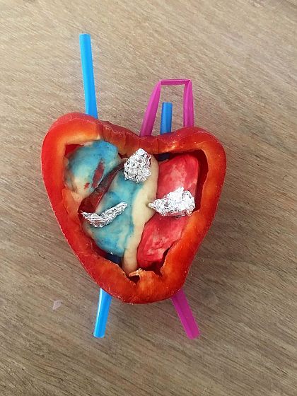 3D stavba srdce - 8.tda