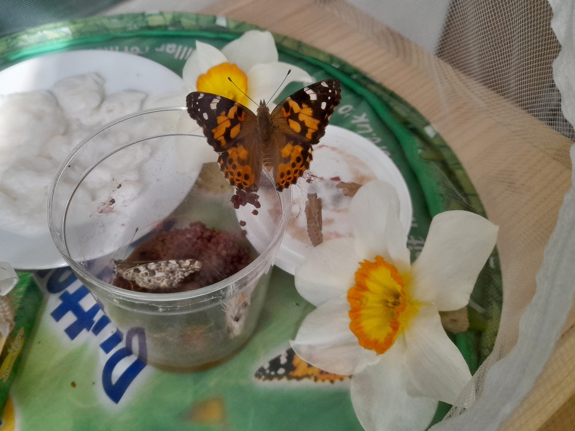 V prvn td se nenudme