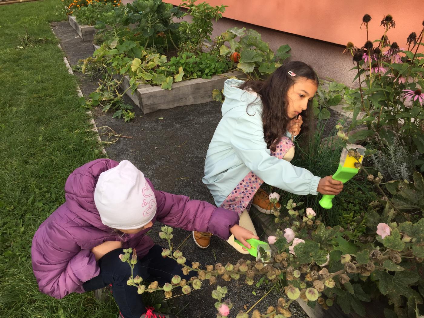Prodovdn a vtvarn vchova IV. tdy venku