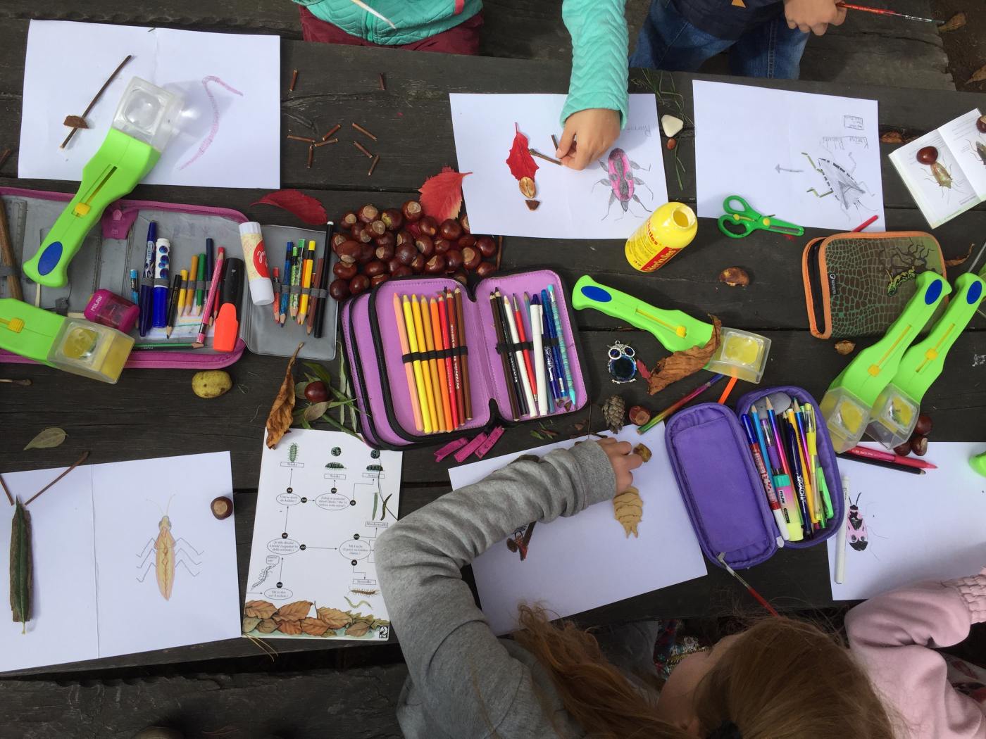 Prodovdn a vtvarn vchova IV. tdy venku