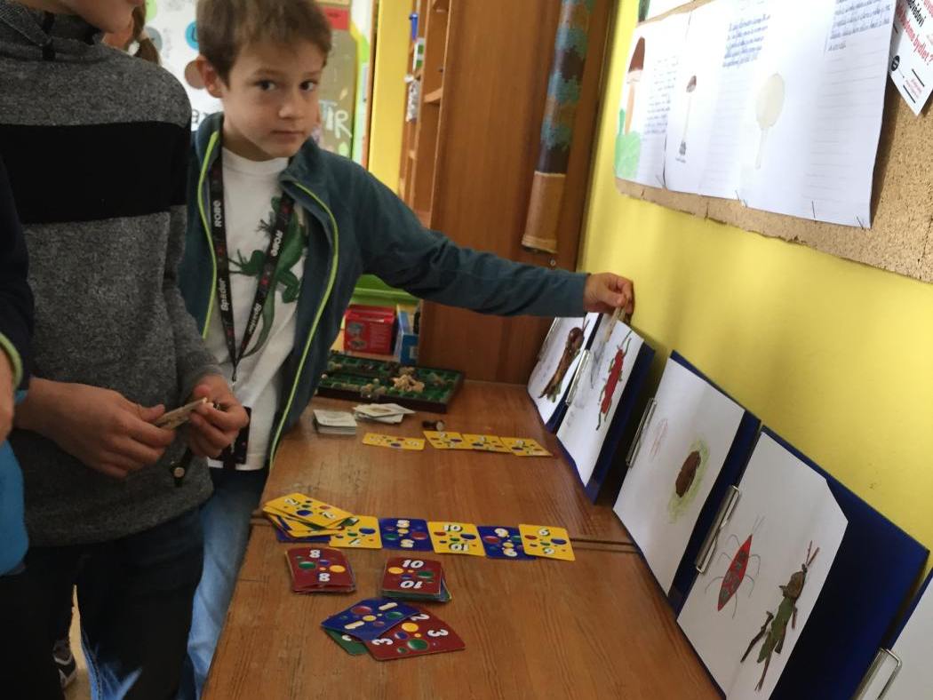 Prodovdn a vtvarn vchova IV. tdy venku