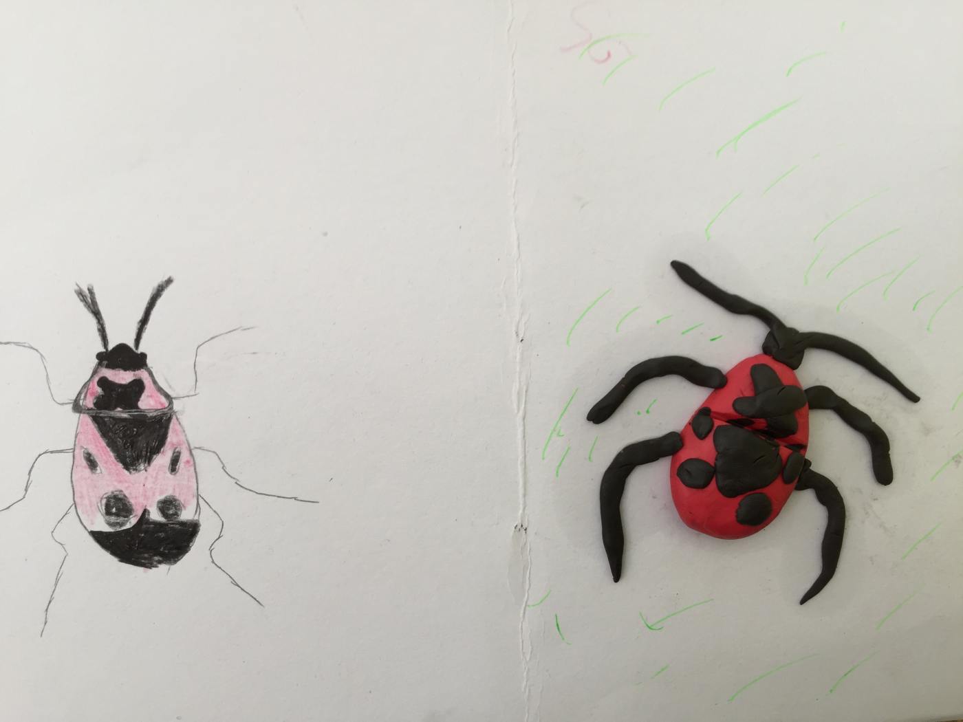 Prodovdn a vtvarn vchova IV. tdy venku