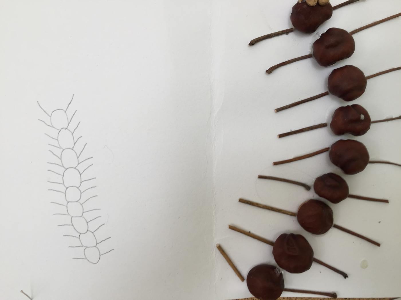 Prodovdn a vtvarn vchova IV. tdy venku