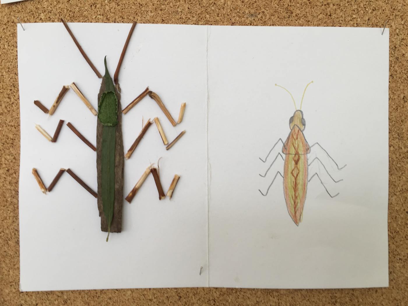 Prodovdn a vtvarn vchova IV. tdy venku