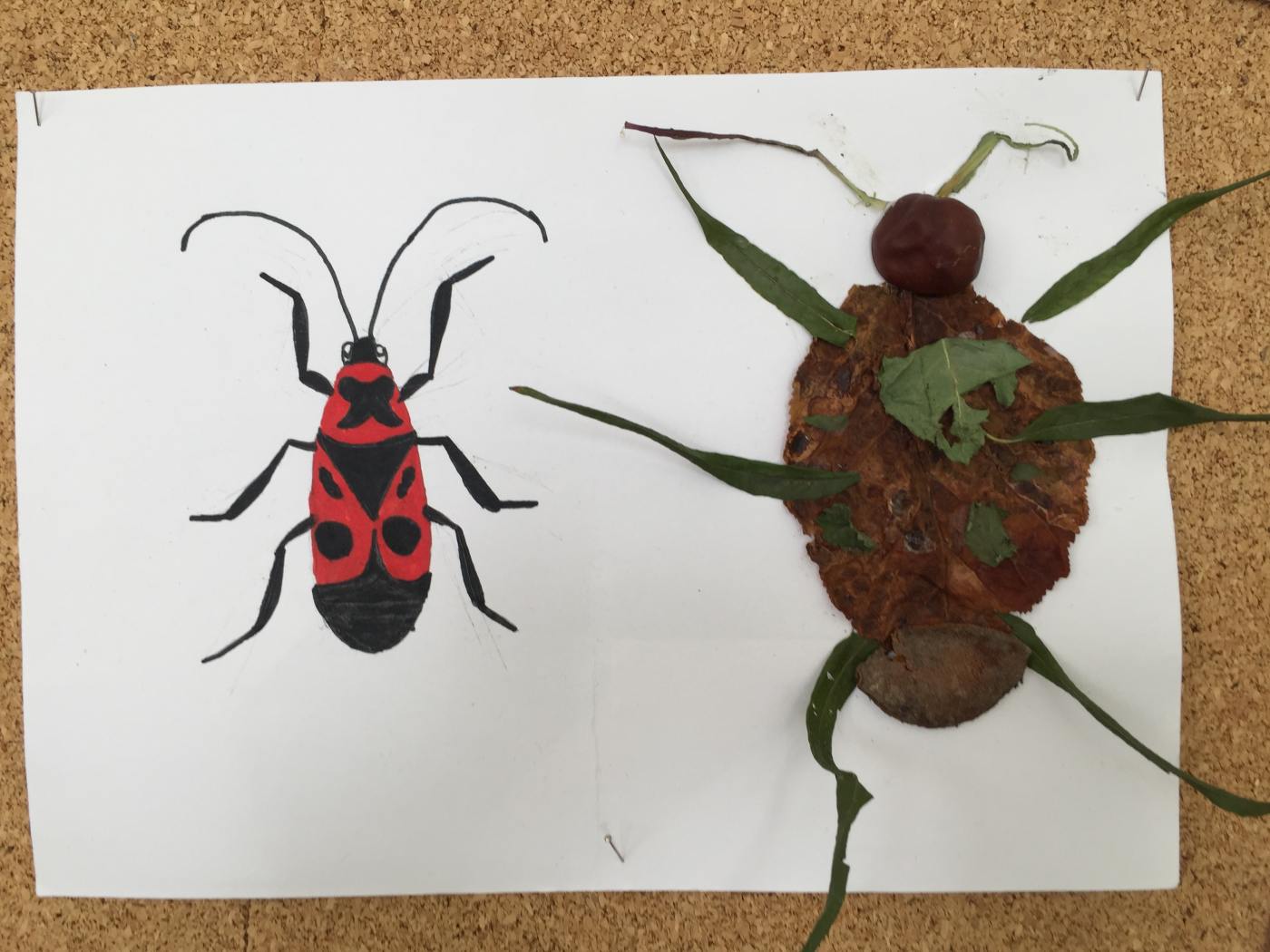 Prodovdn a vtvarn vchova IV. tdy venku